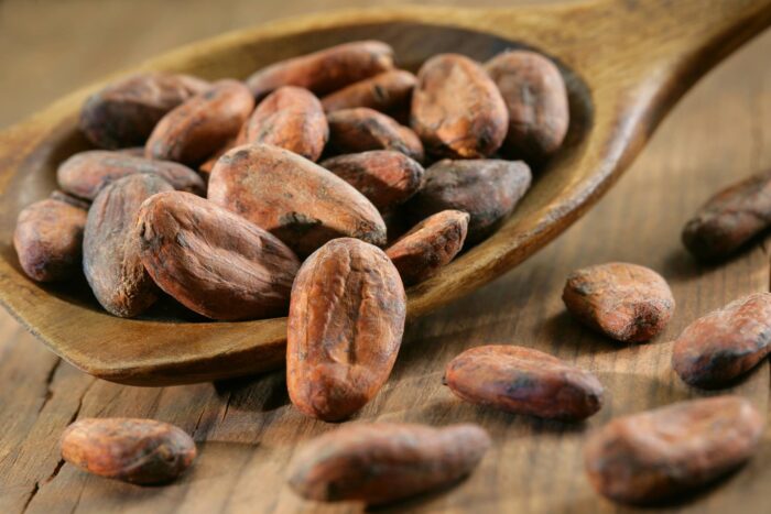 Online Cacao Medicine Ceremony