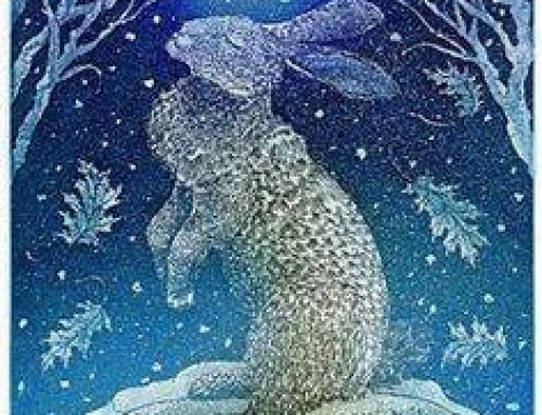 Blessed Solstice & Happy New Year