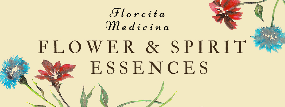 Welcome to Florcita Medicina Spirit Essences!